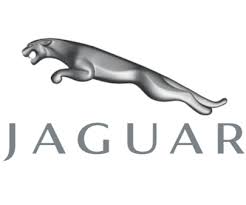 jaguar10.jpg